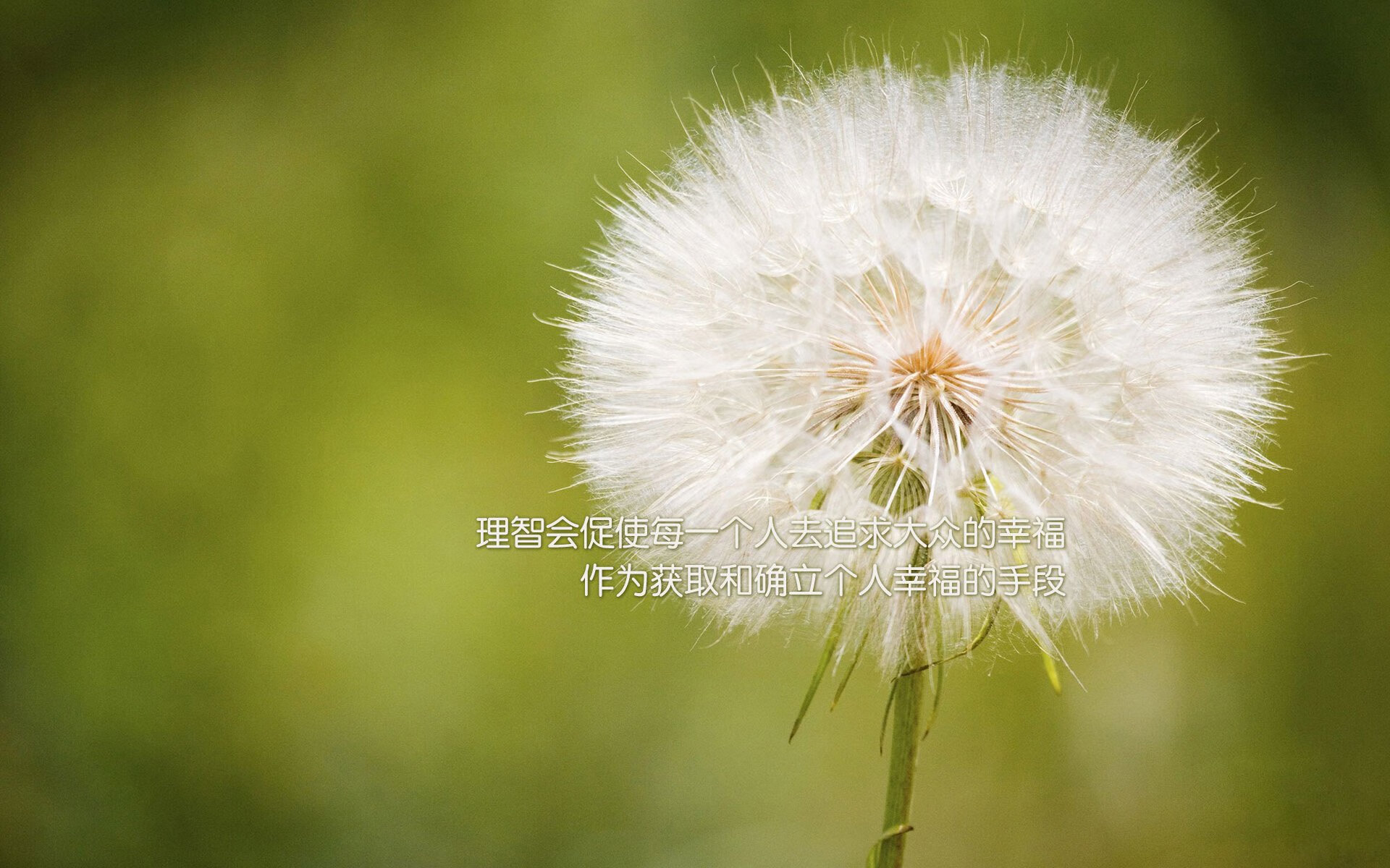 青年天才孙珂在全国青少年篮球联赛中夺冠，崭露头角，孙悦百度百科篮球