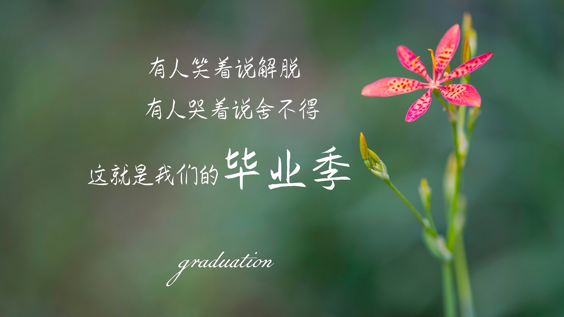 墨西哥男足在巴黎奥运会上表现出色，晋级四强，墨西哥男足奥运会成绩
