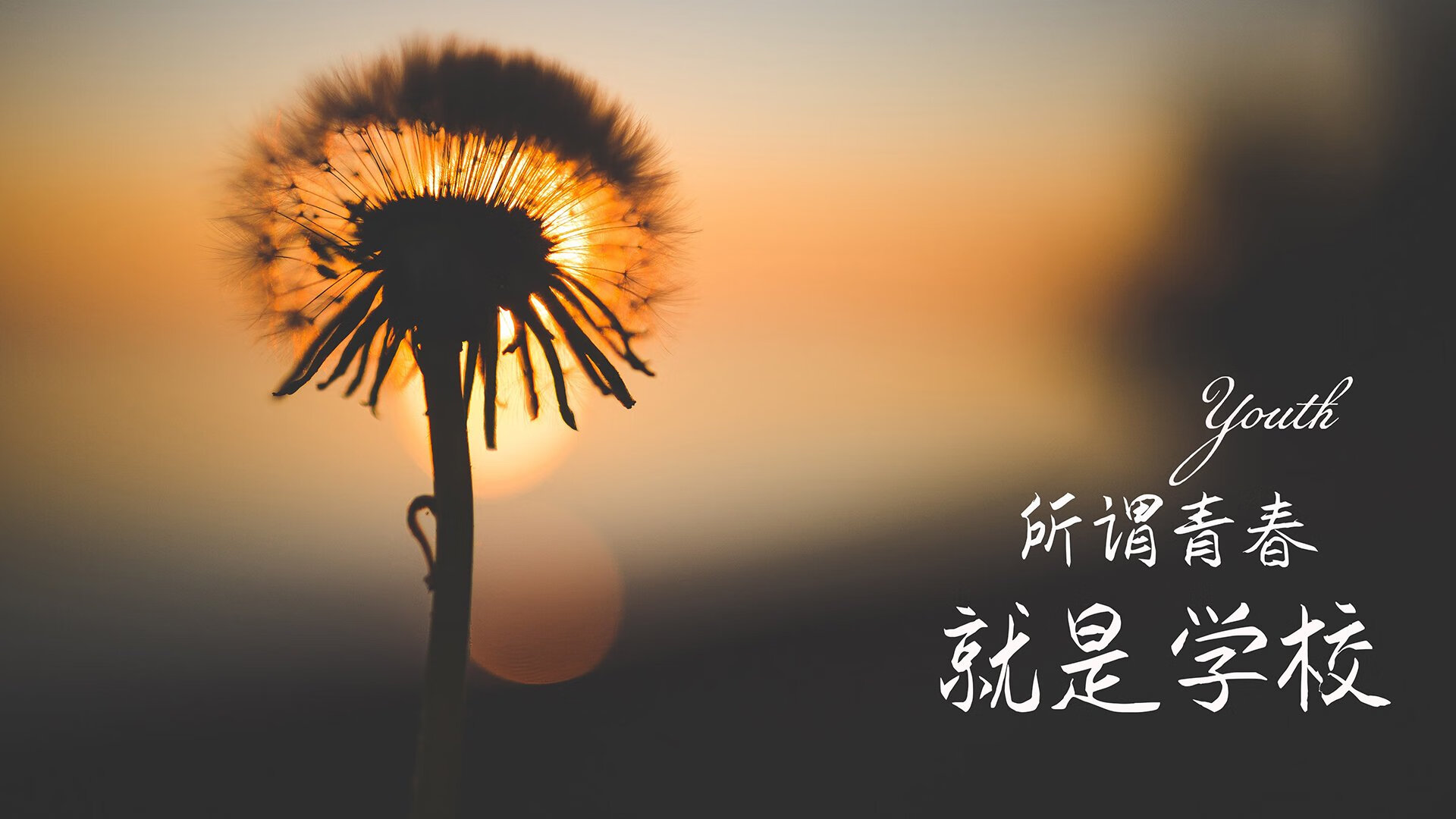 赛事创新：五大联赛引入的高科技手段，赛项科技
