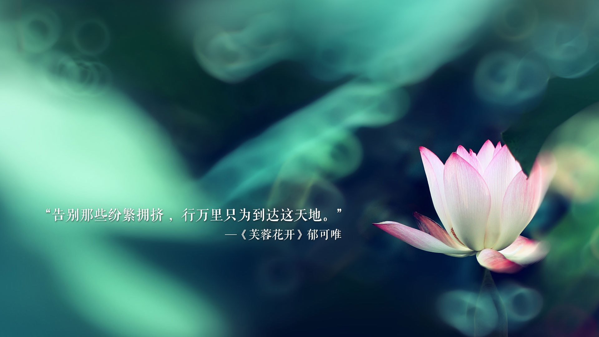 “尼古拉斯·桑特基的远射与精准控制，成就阿根廷美洲狮队的攻守平衡”