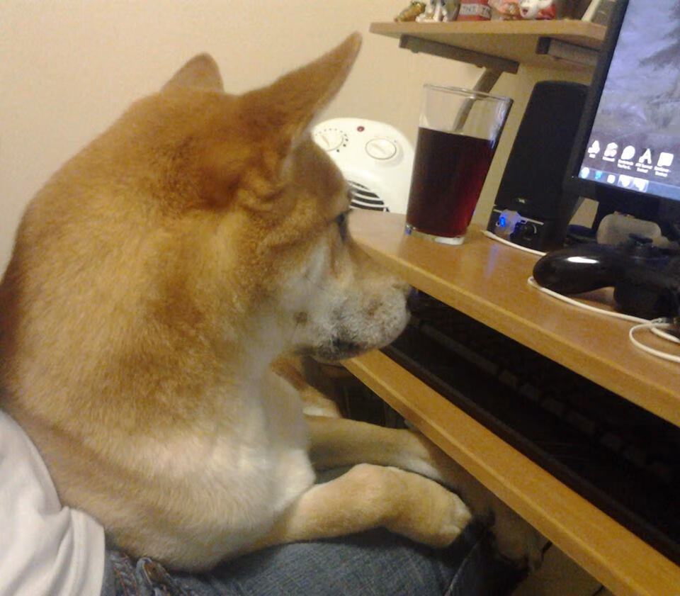 爱游戏综合娱乐-国家队训练安排公开赛前冲刺阶段强度达到顶峰，国家队一般在哪儿训练