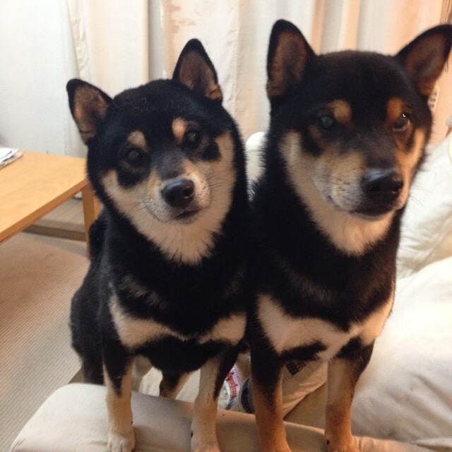 国际足球文化交流日益频繁，促进多元文化融合，足球文化氛围