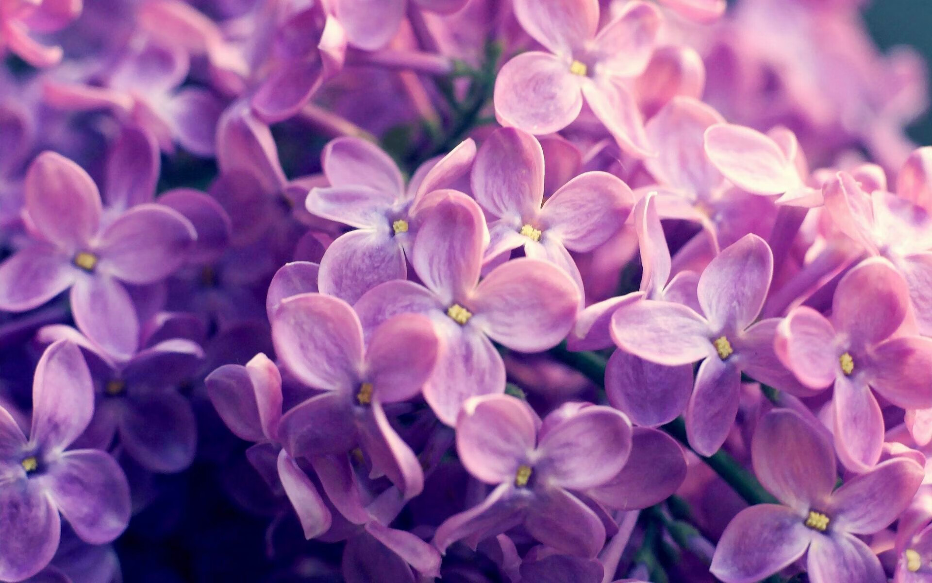 欧洲杯战火争锋:战术创新引领新高潮,欧洲站杯