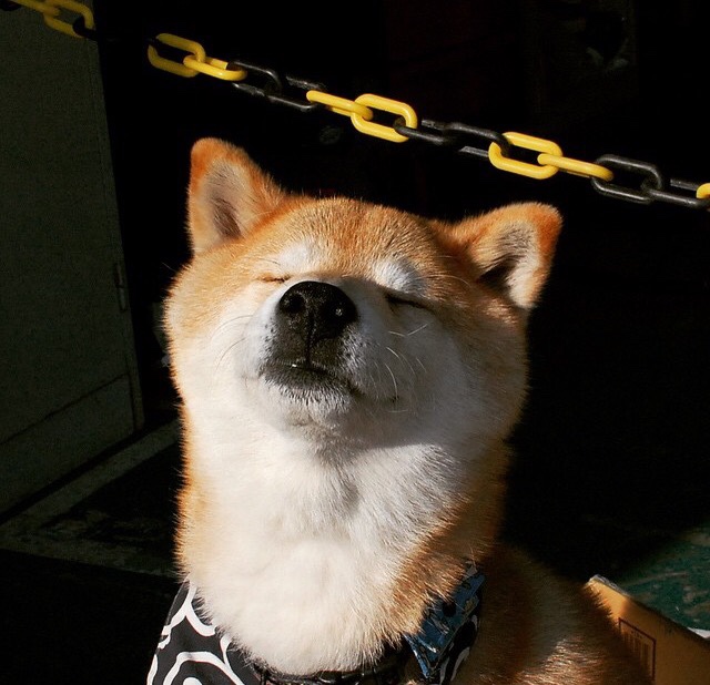 法甲新秀崭露头角：未来之星耀眼全场！，2020足球未来之星