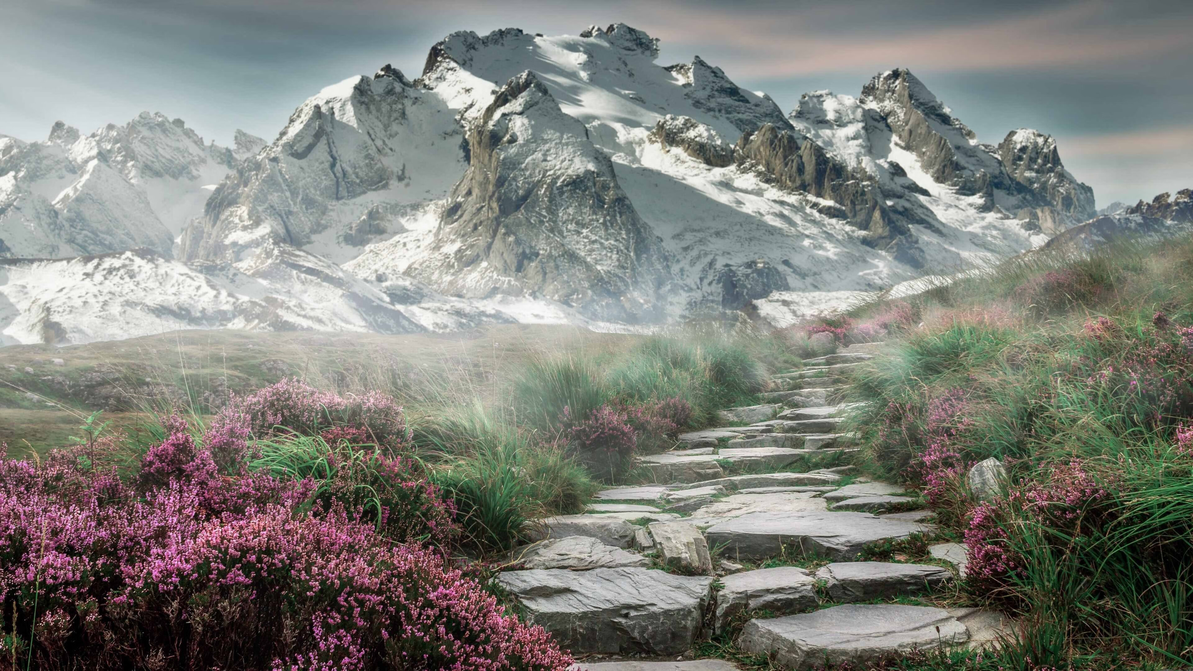 爱游戏 电竞-青训项目引入阶段目标评估推动系统性成长规划，青训选拔机制