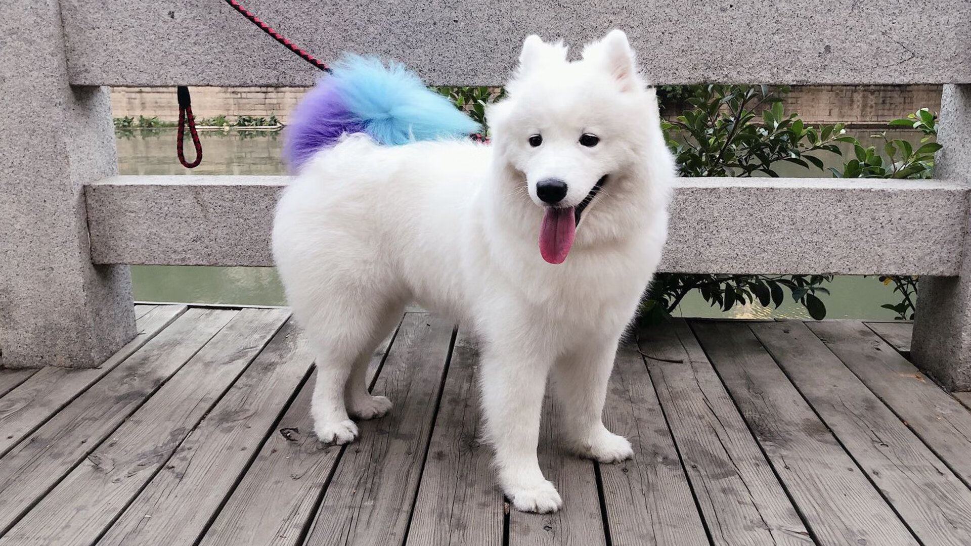 青训项目引入阶段目标评估推动系统性成长规划，青训选拔机制